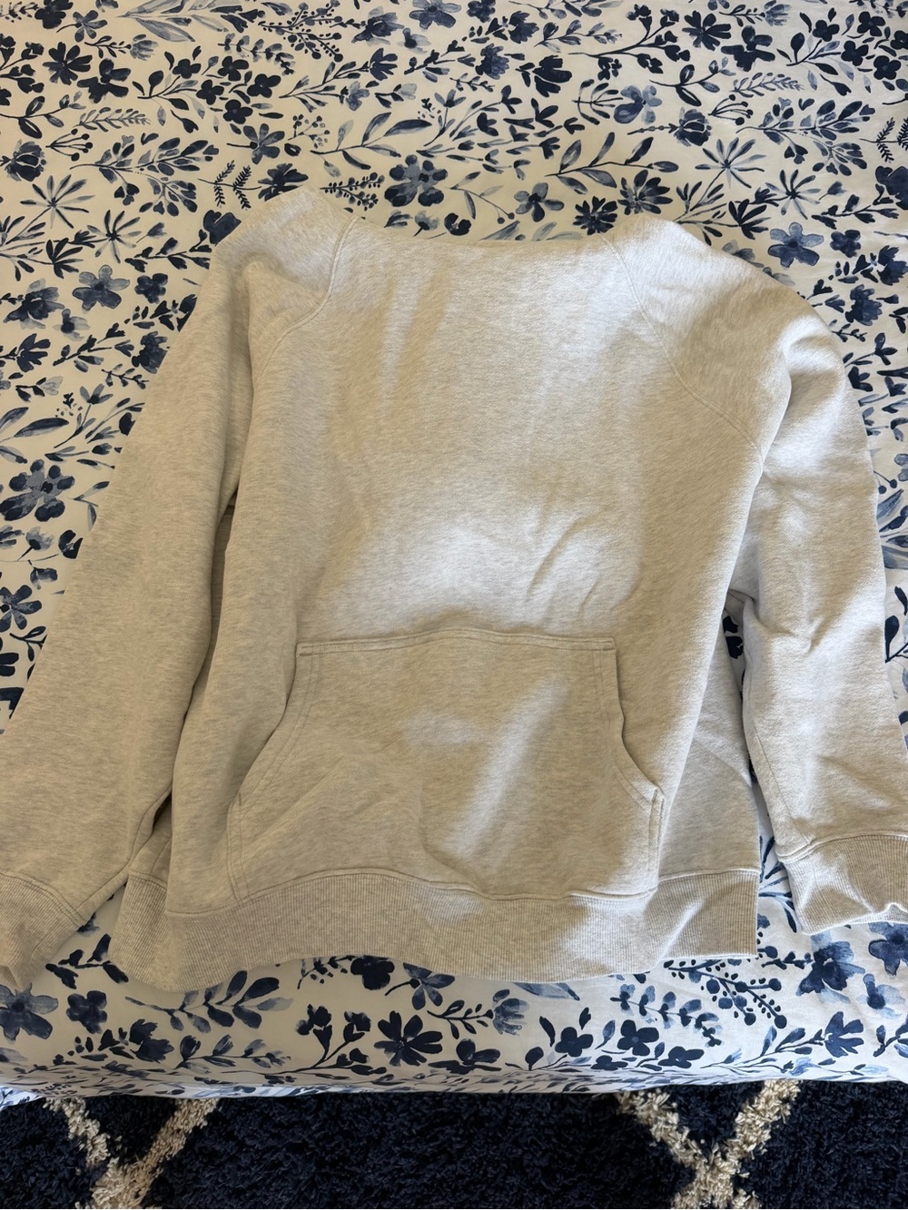 Aritzia Cozy Sweatfleece Perfect Hoodie